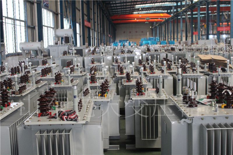 郴州S22-800KVA/10KV